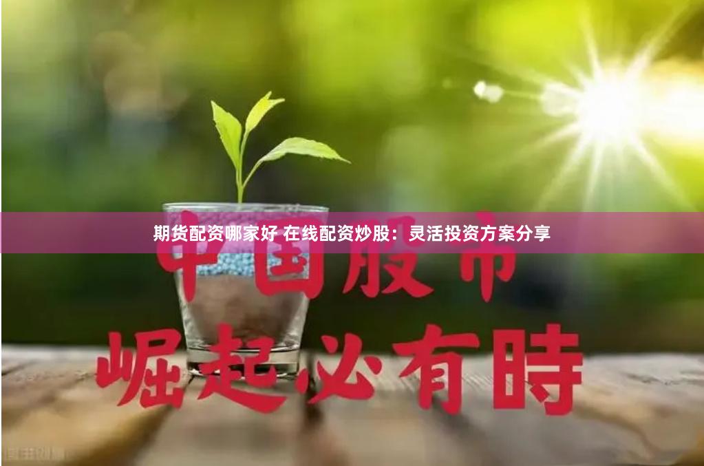 期货配资哪家好 在线配资炒股：灵活投资方案分享