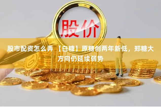 股市配资怎么弄 【白糖】原糖创两年新低，郑糖大方向仍延续弱势