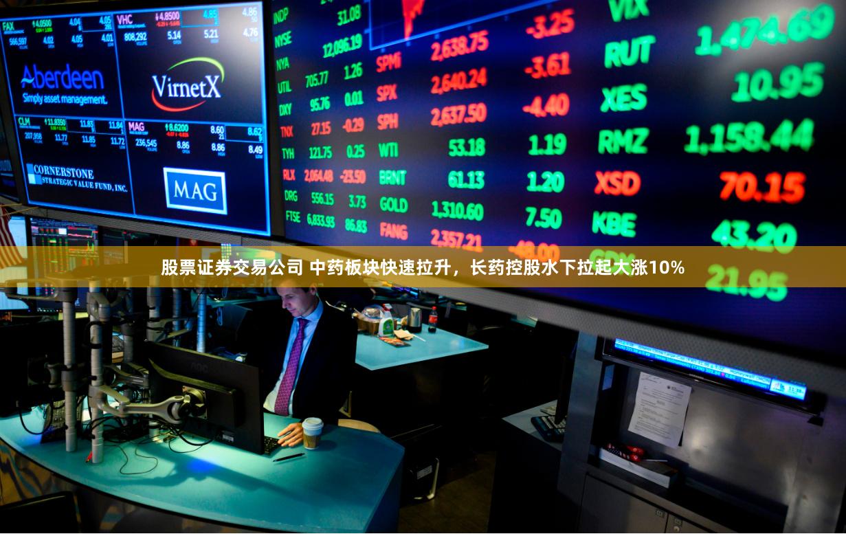 股票证券交易公司 中药板块快速拉升，长药控股水下拉起大涨10%