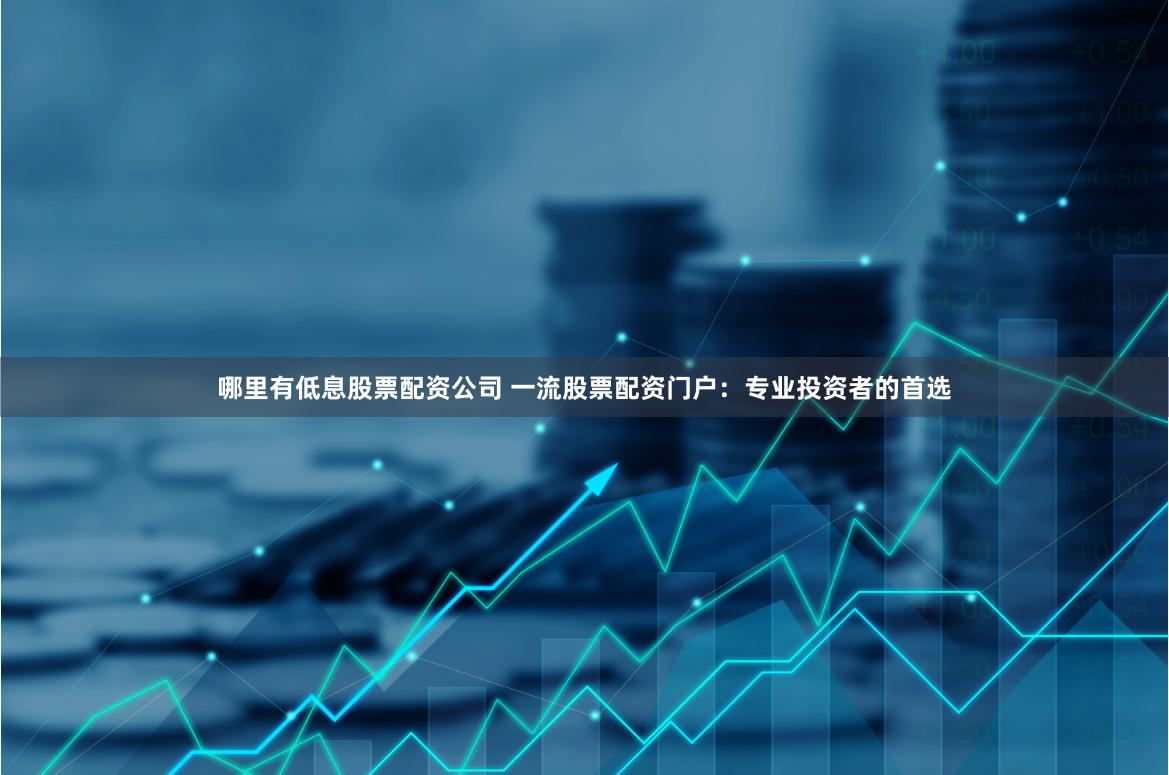 哪里有低息股票配资公司 一流股票配资门户：专业投资者的首选
