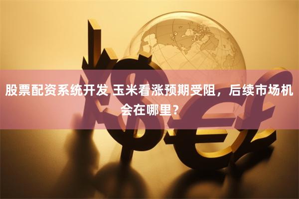 股票配资系统开发 玉米看涨预期受阻，后续市场机会在哪里？