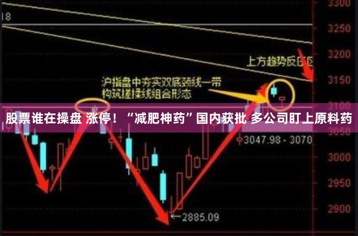 股票谁在操盘 涨停！“减肥神药”国内获批 多公司盯上原料药