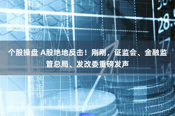 个股操盘 A股绝地反击！刚刚，证监会、金融监管总局、发改委重磅发声
